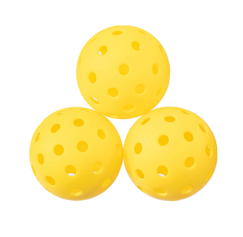 Selkirk SLK x Holderness Family Pickleball Bundle